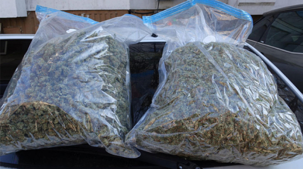 Полицията в Петрич задържа над 6 кг марихуана