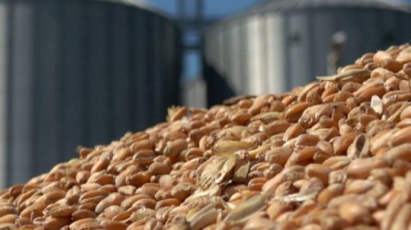 Еврокомисията забрани внос на пшеница, царевица, рапица и слънчоглед от Украйна