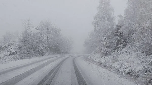 Извънгабаритни тирове блокираха пътя между великотърновски села