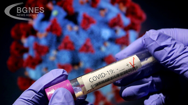 366 са новите случаи на коронавирус у нас, 8 души са починали