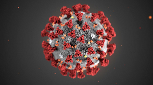 Добра вест: Само 28 са заразените с коронавирус при направени 6 500 теста