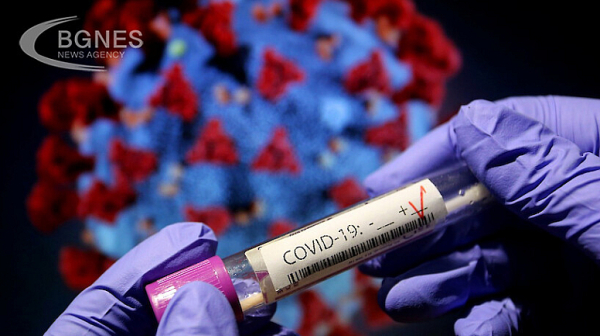49 са новите случаи на коронавирус у нас