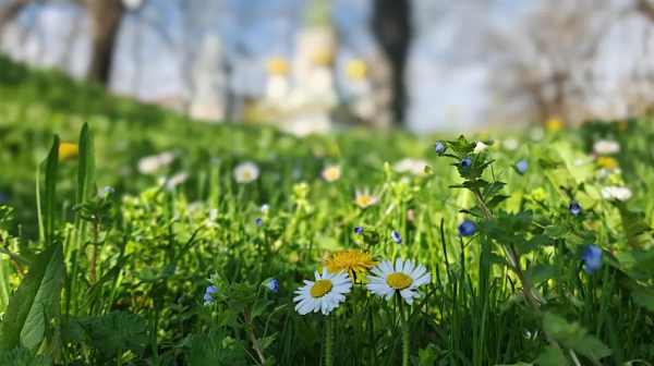 Слънчев вторник, температурите между 20 и 25 градуса