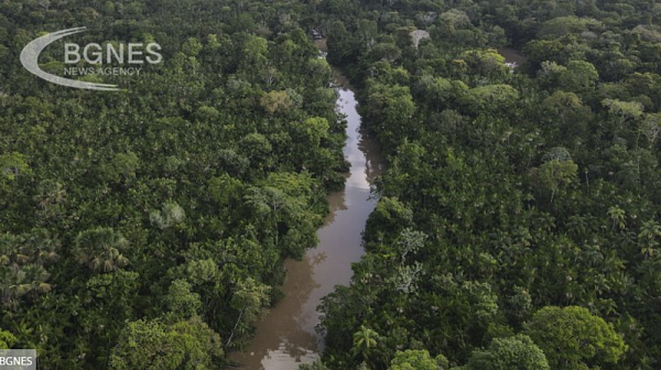Една от най-малко изследваните реки: Амазонската Сантяго разкрива нови видове риби