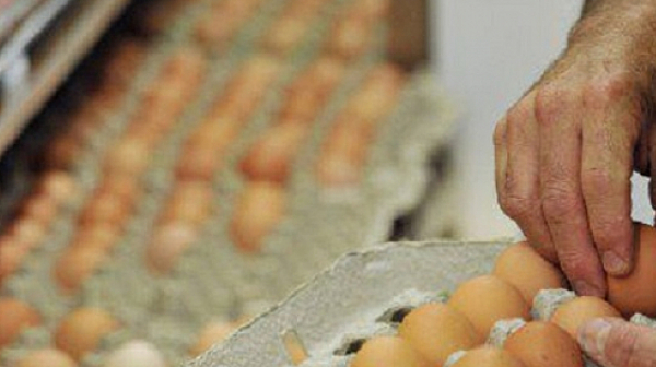 Яйца и млечни продукти - рекордьори по поскъпване сред храните