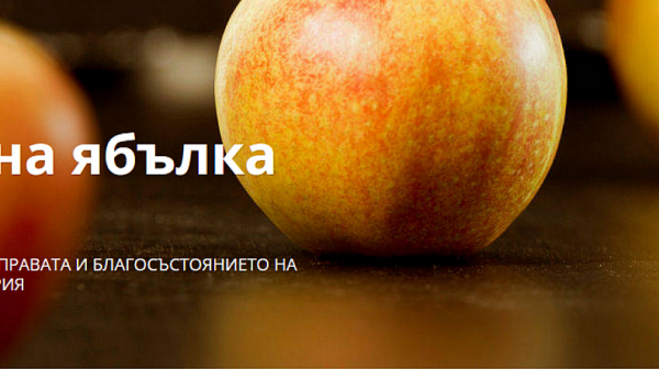 Община Русе номинирана за Награди „Златна ябълка“ 2023 г. за своята социална дейност