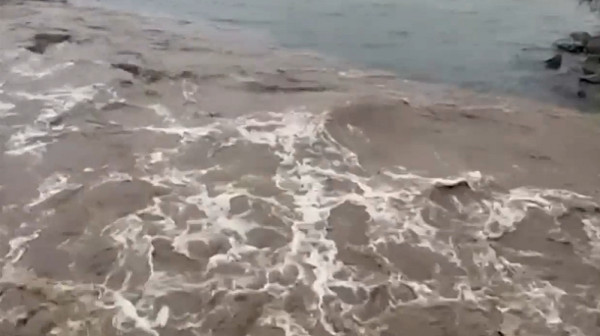 BG-ALERT в Бургаско: Критични точки по Ропотамо, дъжд и евакуации