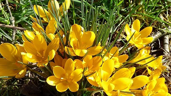 Слънчева неделя, температури 10° - 15°