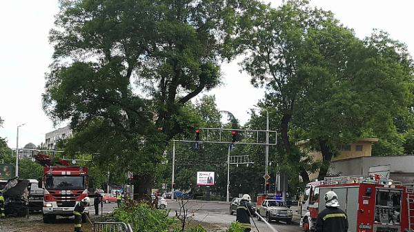 След бруталната катастрофа в Пловдив, драстично скачат глобите за джигитите?
