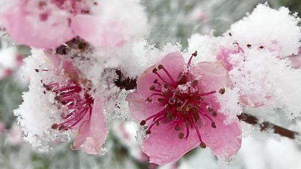 Силен дъжд и гръмотевици през уикенда, слънце чак на Цветница