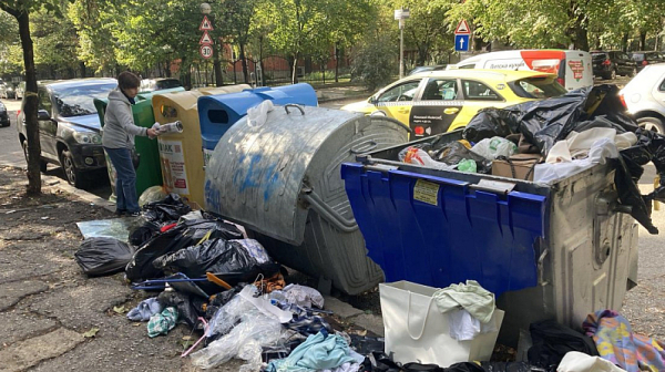 Бездомни животни нападат кофите за боклук в София