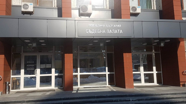 8 години затвор за младежа, който преби до смърт жена в Перник