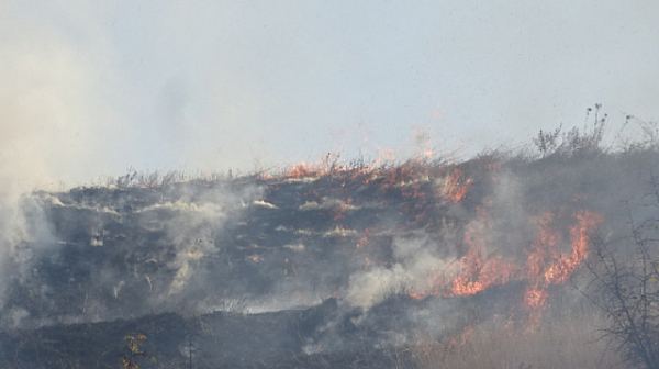 Почти е овладян пожара край Казанлък