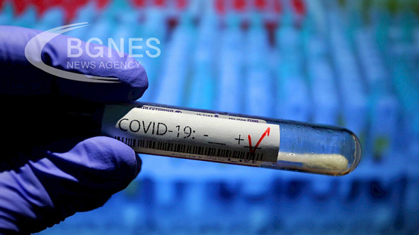 7 са новите случаи на коронавирус у нас, 6-ма са излекувани