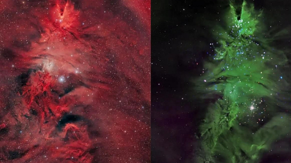 Космическа коледна елха: Астрономите са регистрирали необичаен звезден куп