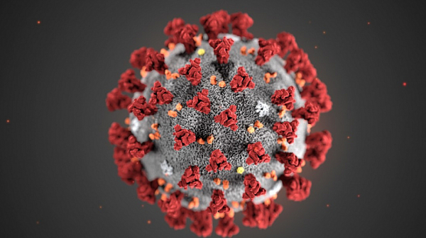 BioNTech: Ваксината е ефективна срещу новите щамове на коронавируса