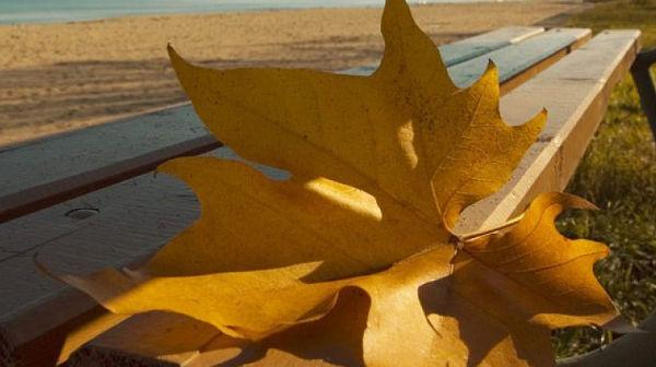 Слънчева събота, мъгли над Дунавската равнина