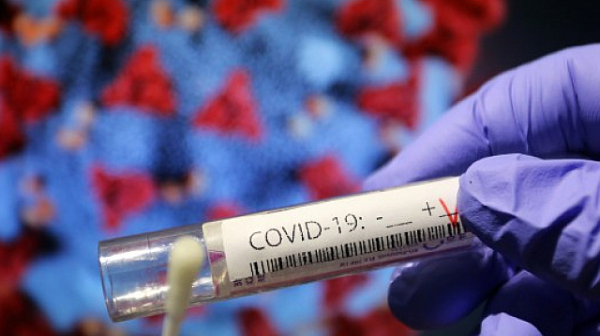 4816 са новите случаи на коронавирус у нас, в болници са 6608 заболели