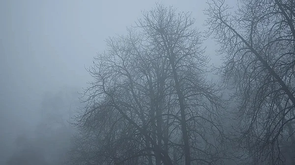 Температури до 10 градуса и мъгли: Времето днес