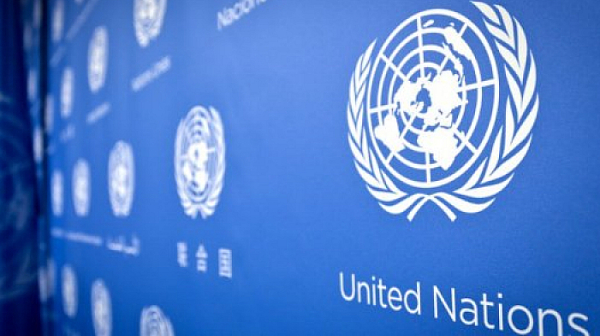 ООН: Светът пропусна 1,5°C – Амазонската джунгла е на ръба да стане савана