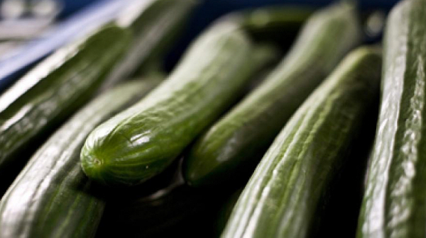 Плащаме около 5 лв. за килограм краставици