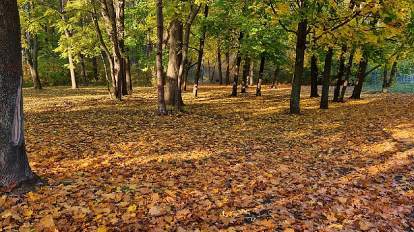 30° и слънце в първия есенен ден