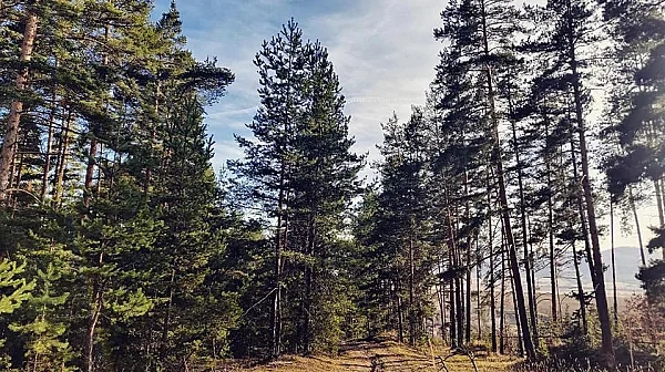 Промяна в прогнозата – очаква ни топъл понеделник и слънчева Светла седмица