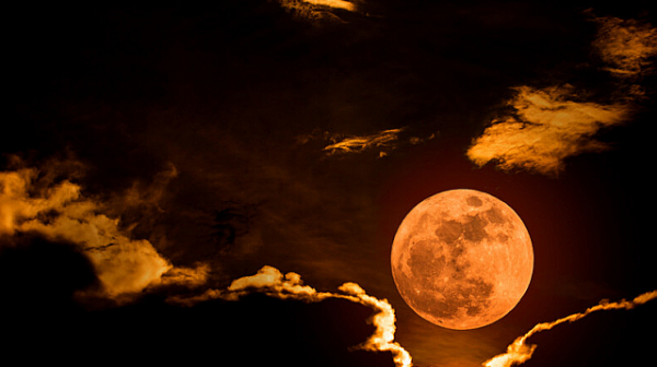Светът наблюдава „Вълча” Луна