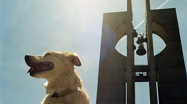 Слънчева и топла сряда, температури до 21°