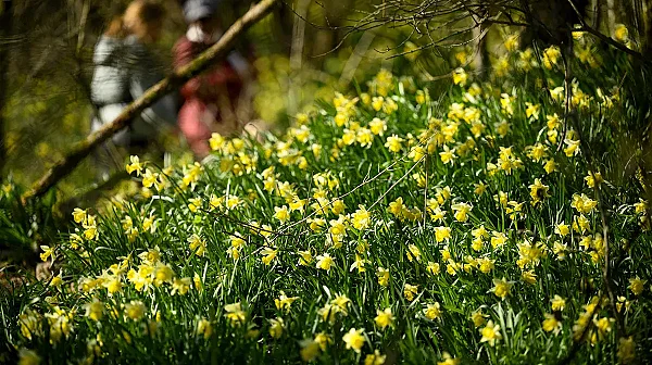 Предимно слънчева събота