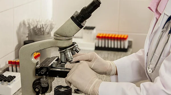 След 40 000 години: Същества от ледниковата епоха са се завърнали към живот в Аляска