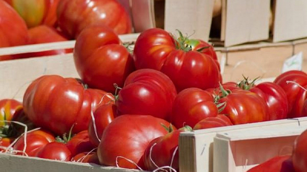 Цените на доматите и краставиците пак тръгнаха нагоре, картофите поевтиняха