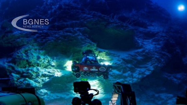 Скрит ”оазис на живота” е открит дълбоко в океана на Малдивите