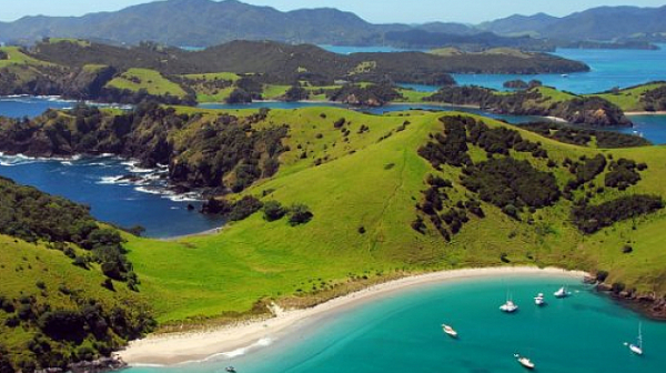 Нова Зеландия легализира евтаназията