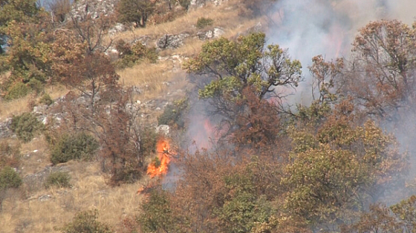 Пожарът над Чипровци е локализиран