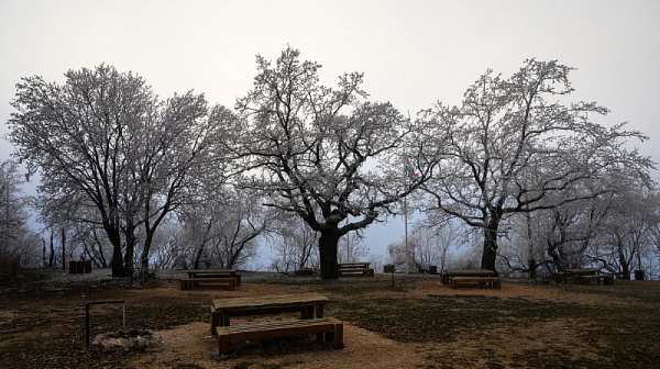 Днес мъглите се задържат на места, без валежи до края на седмицата