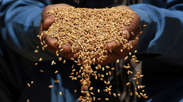 Влиза в сила забраната за внос на украинско зърно