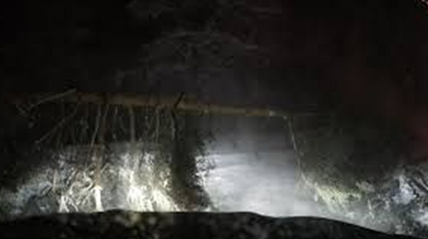 Буря на Витоша, паднало дърво уби майка на две деца