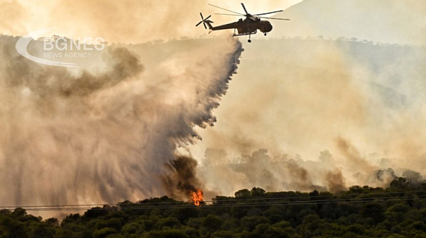 Изцяло или частично потушени са пожарите в Родос, Корфу, Халкидики и Крит