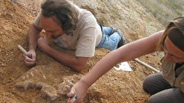 БГ находка преобръща историята на Балканите и света, всичко започва от един зъб