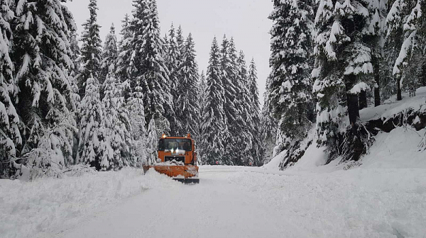 Обилен снеговалеж спря движението на камиони в района на ”Предела”