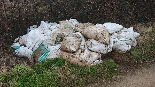 Незаконно сметище с трупове на животни откриха край Карлово