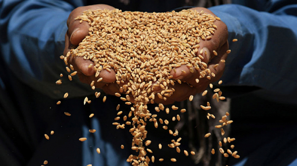 Франция работи за зърнен експорт по земя