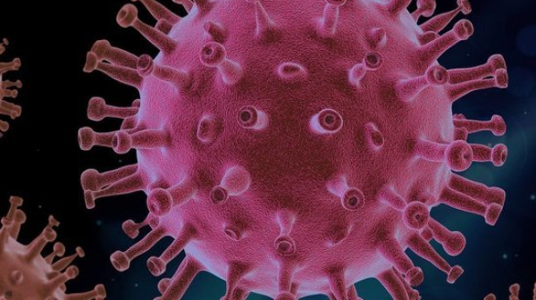Отново 14% положителни проби за коронавирус, расте броят на хоспитализираните