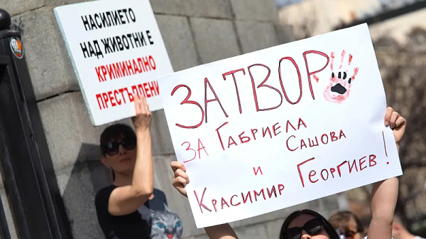 Пернишката прокуратура внесе обвинение срещу двойката, измъчвала животни