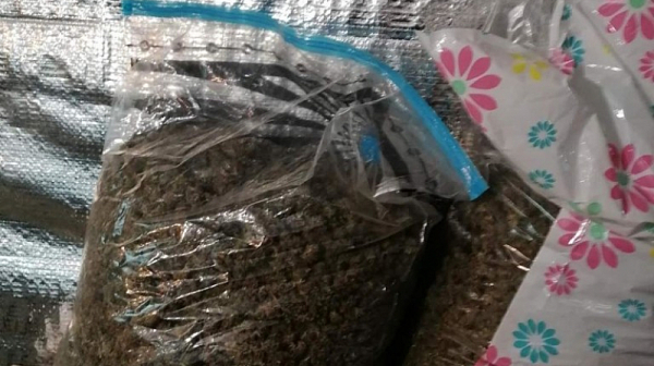 ГДБОП хвана 200 кг марихуана при акция в Бургас. Арестувани са петима