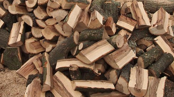 От ЮЗДП твърдят, че дърва за огрев има, но цените летят заради тока и транспорта