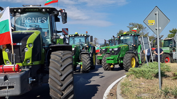 Оранжерийните производители се обявиха против протестите на земеделците в страната
