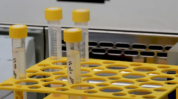 95 нови случаи на коронавирус у нас за последното денонощие