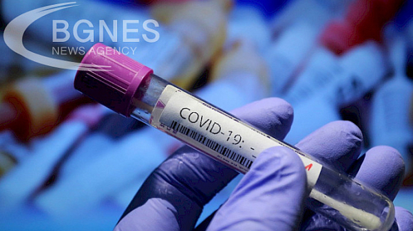 30 са новорегистрираните случаи на коронавирус у нас